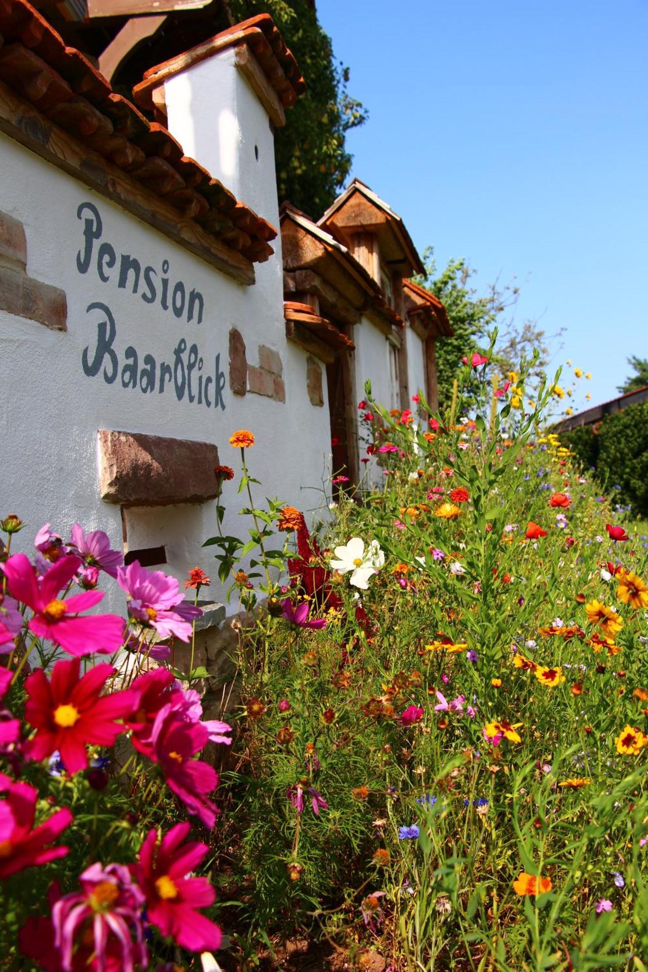 Pension Baarblick Hotell Donaueschingen Exteriör bild